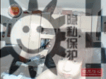 广西家庭-搭档交友