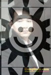 河南家庭-搭档交友