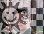 帅哥形式婚姻交友，双性爱无性婚姻交友