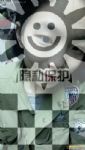 美女交友劳务求职