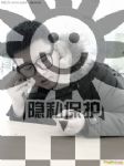 帅哥交友，直男男主男配字母圈交友