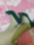 人妖形式婚姻交友，伪娘无性婚姻交友