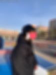 字母圈交友-帅哥男配角字母圈交友