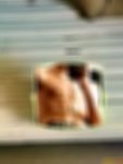 帅哥形式婚姻交友，双性爱无性婚姻交友