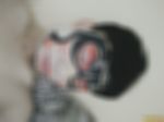 帅哥交友，直男男主男配字母圈交友